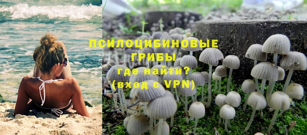ешки Осташков