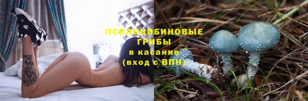 гидропоника Осинники