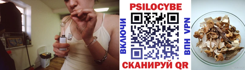 blacksprut ССЫЛКА  Харовск  Галлюциногенные грибы Psilocybine cubensis 